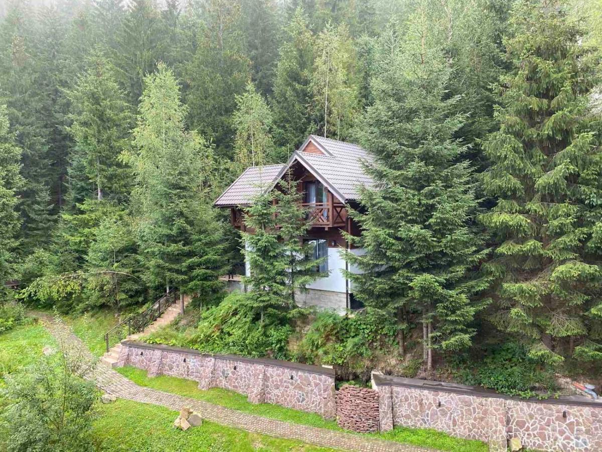 Karpatski Dzherela Яремча Экстерьер фото